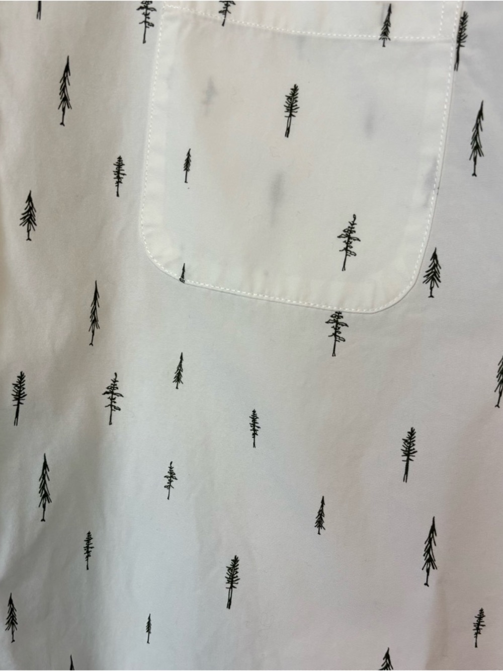 Taylor Stitch Short Sleeve Jack Tree Top Poplin Button Down Shirt Sz US L EU 42 - Picture 2 of 7